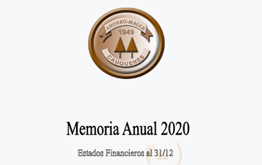 Memoria Anual 2020