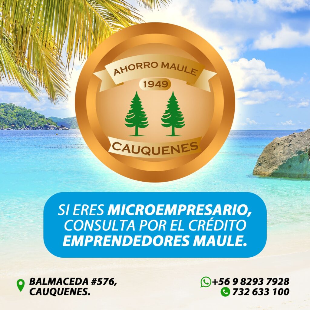 empredemaule verano2025